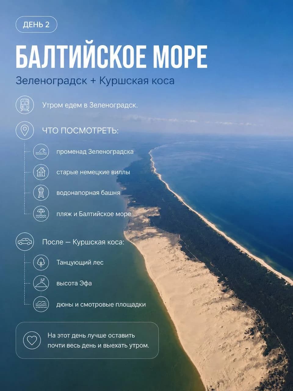 Дюны и сосны Куршской косы у Балтийского моря