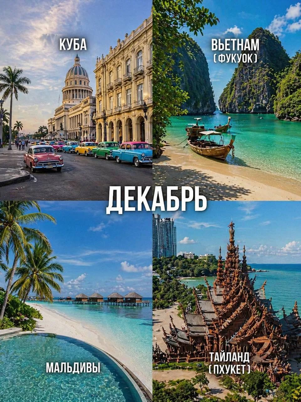 Декабрь: зимовка и новогодняя поездка в лето