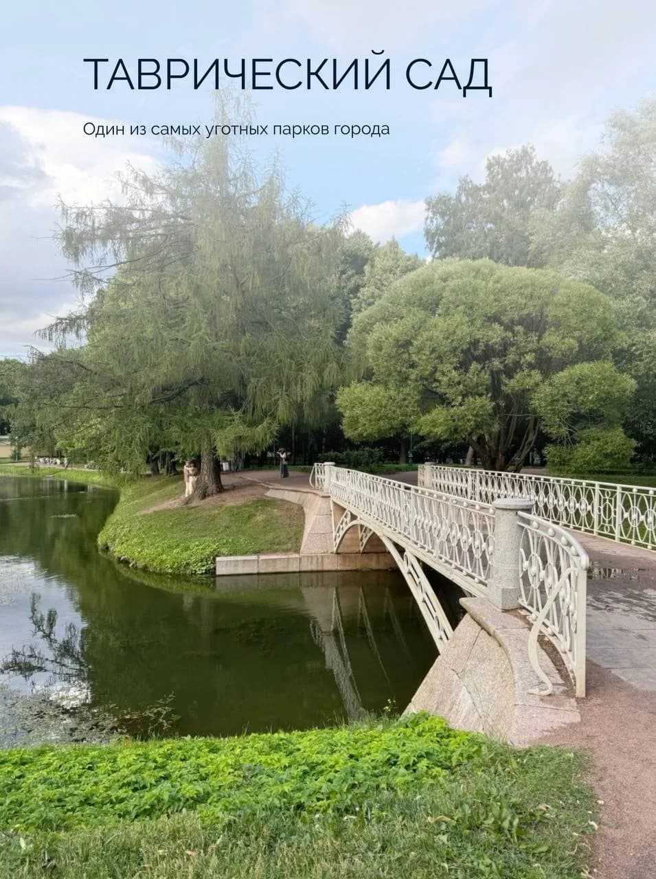 Пруды с островками и ажурные мостики Таврического сада
