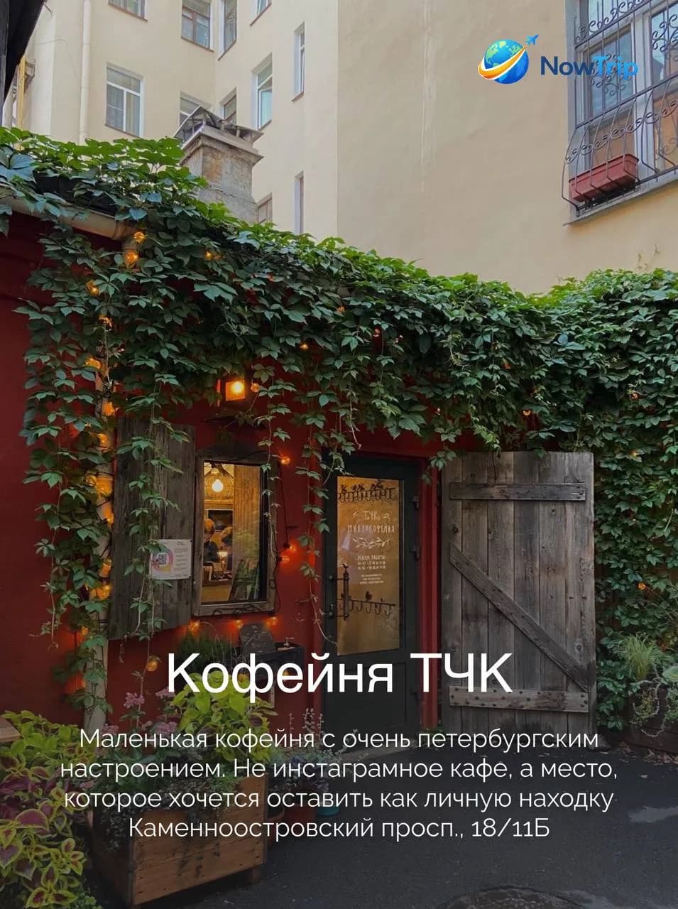 Кофейня ТЧК в зелёном дворике с красной стеной и гирляндами