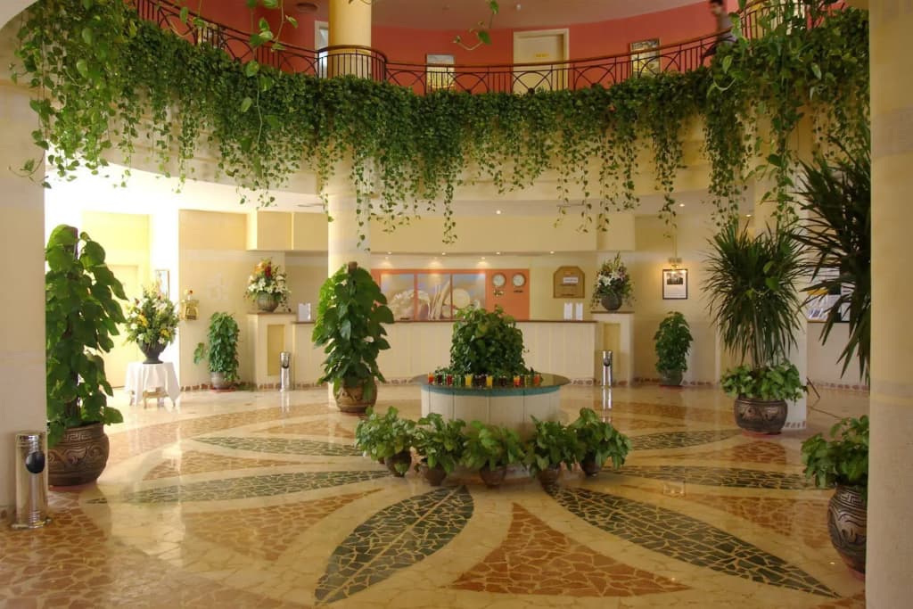 Luna Sharm - Шарм-эш-Шейх (Шарм-эль-Шейх)
