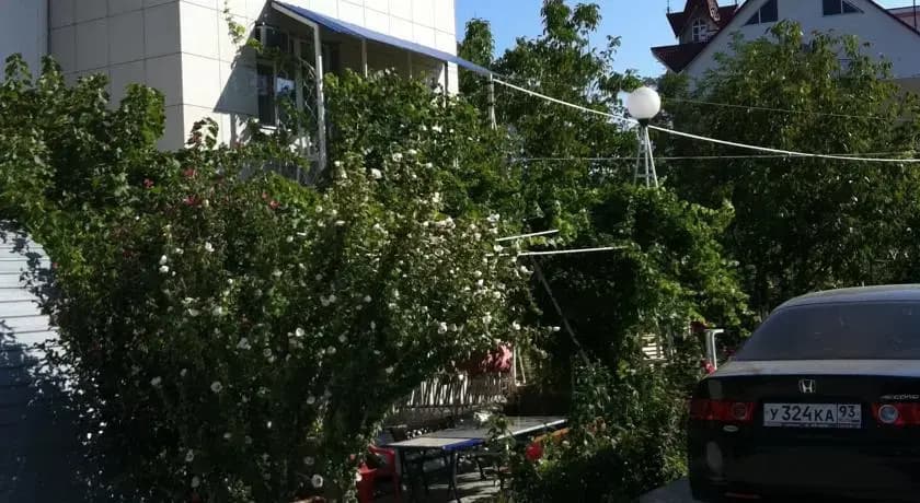 JASMIN - Сукко