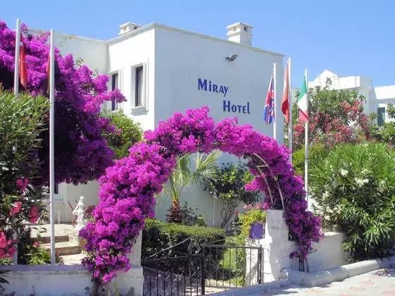 Miray Hotel - Ялыкавак