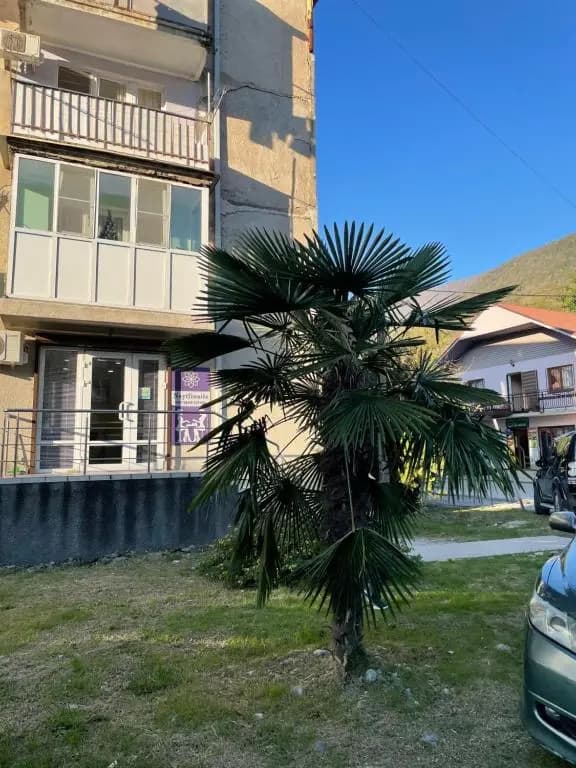 2h kom kV v Gagra - Гагра