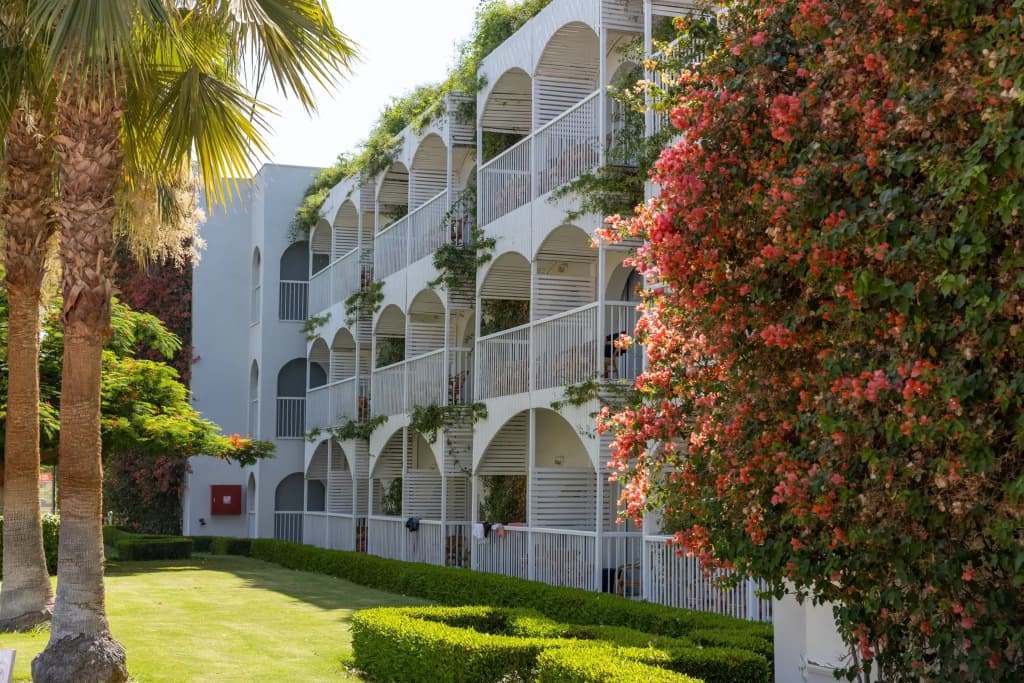 Desert Rose Resort - Хургада