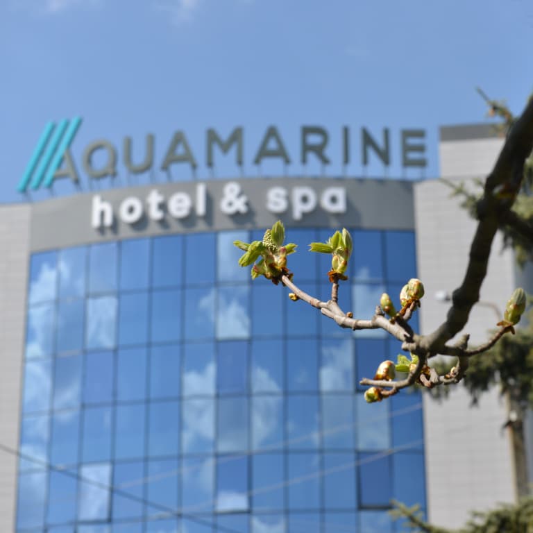 Отель Aquamarine hotel&spa - Курск