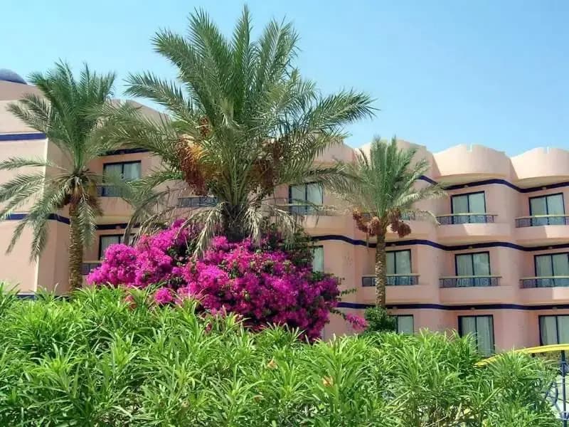 Horizon Sharm Resort - Шарм-эш-Шейх (Шарм-эль-Шейх)