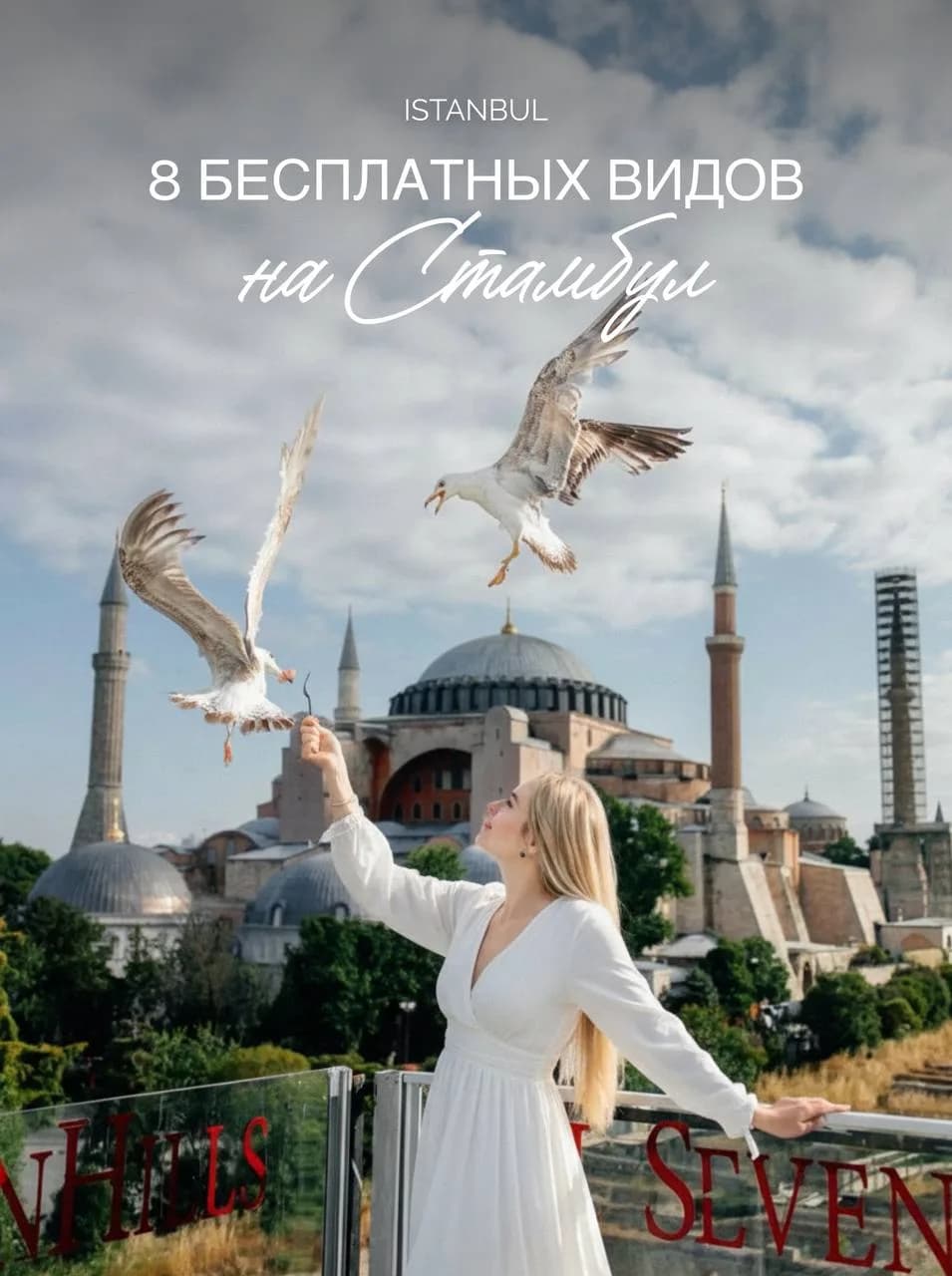 Панорама Стамбула с куполами мечетей, минаретами и Босфором