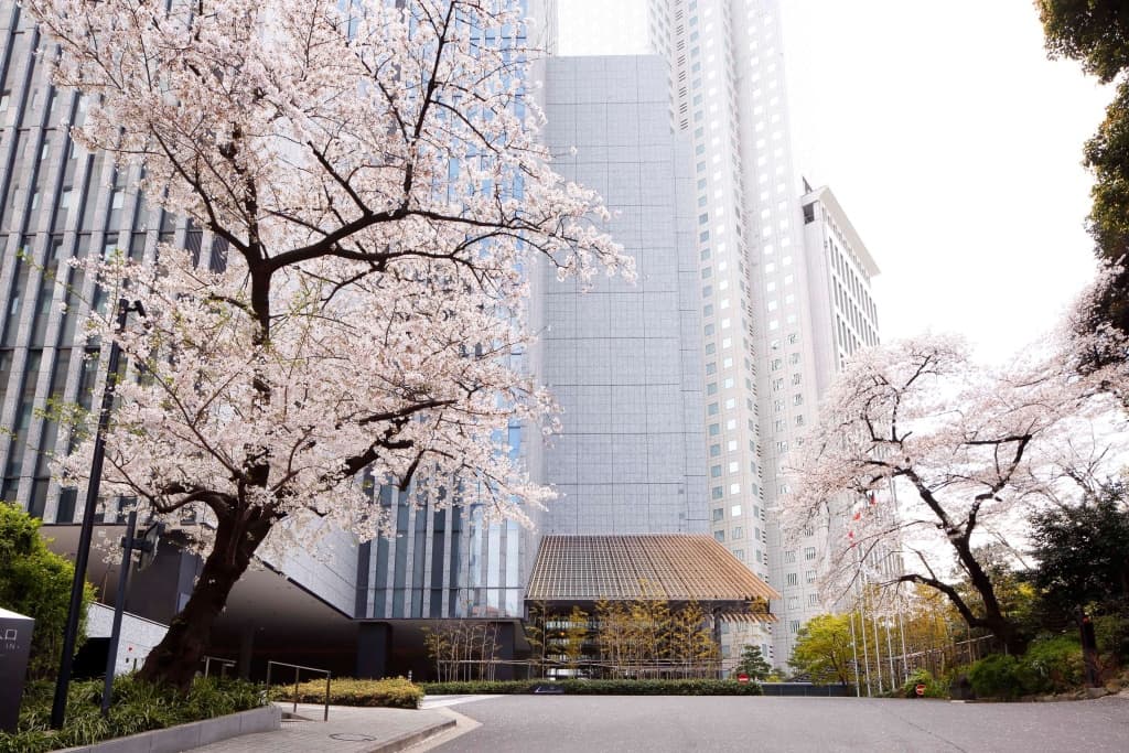 The Capitol Hotel Tokyu - Токио