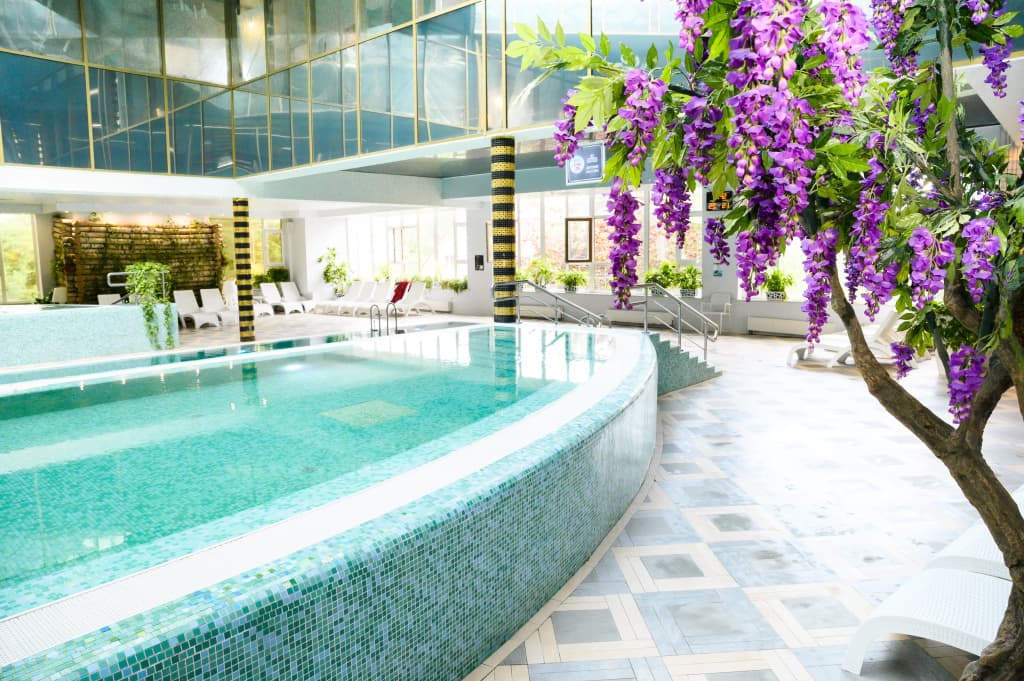 Отель Grand Wellness Hotel & Spa 5* - Московская область