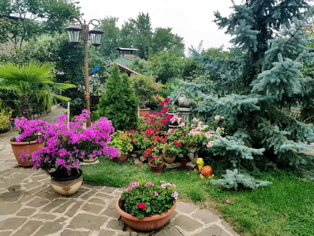 Гостевой Дом Крым - Судак