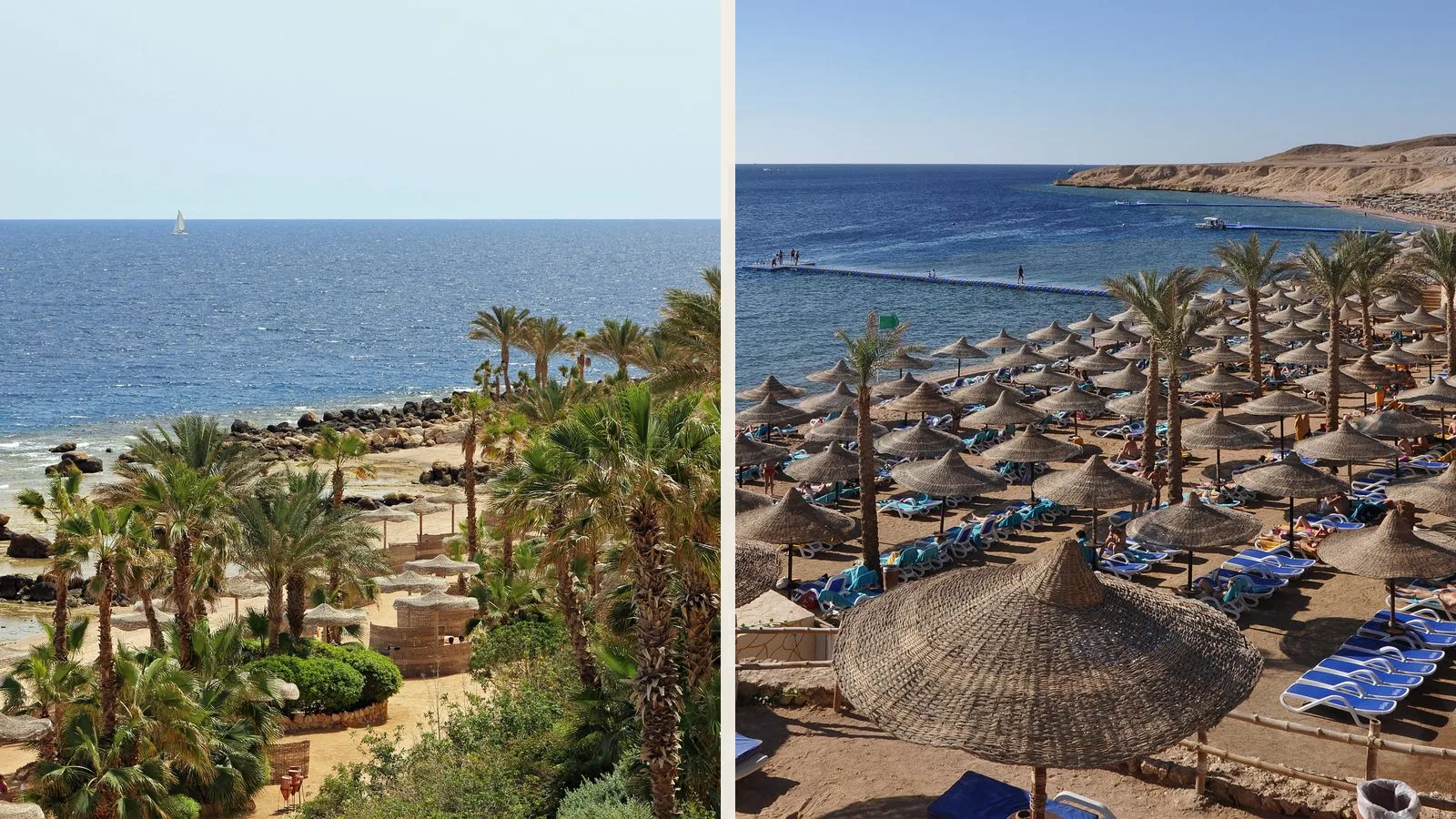 Шарм или Хургада для семьи: сравнение пляжного и resort-сценария